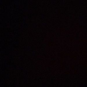 Meet your Posher, Lacey